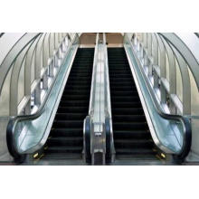 China Escalator Manufacture Light Escalator Use Japan Technology